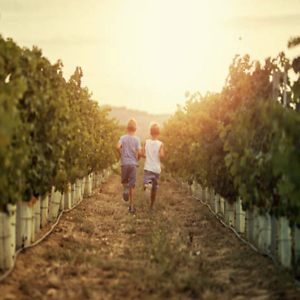 Soggiorno di due notti al prezzo di una